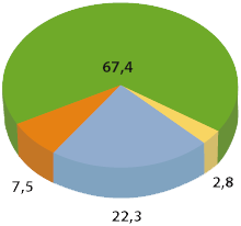 Tortendiagramm